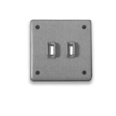 Cover Plate: Double Switch / Switch